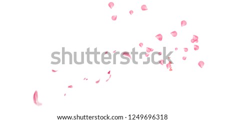 Petals Stock Image with blur effect Royalty-Free Stock Photo #1249696318