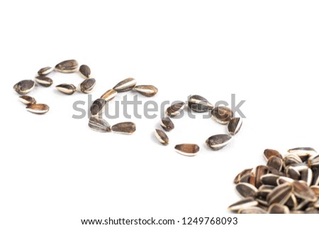 word eco in sunflower seed on white background in studio