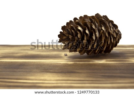 fir cone on a wooden table