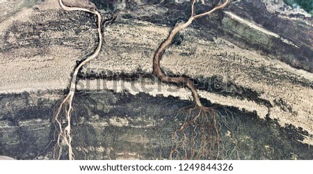 the roots of the earth, tribute to Pollock, abstract photography of the deserts of Africa from the air, aerial view, abstract expressionism, contemporary photographic art, abstract naturalism,