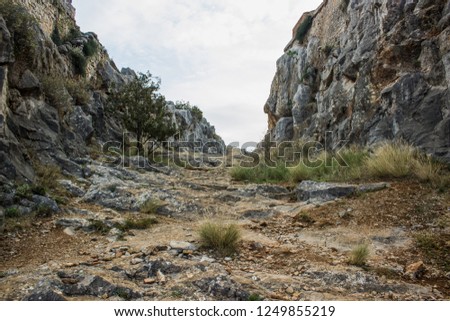 canyon inside nature rock landscape in dry desert south park of Earth