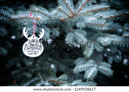 Congratulations on Christmas and New Year on snow-covered fir trees