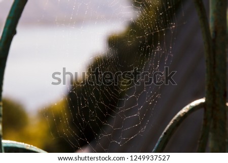 Spider web on rusty balcony fence on blurred background. Selective focus