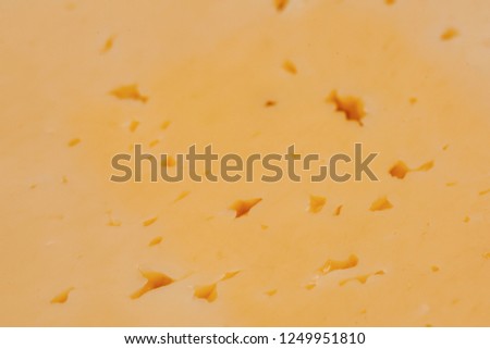Texture of cheese, close-up