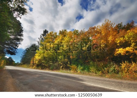 Asphalt Road path walkway through beautiful autumn forest.