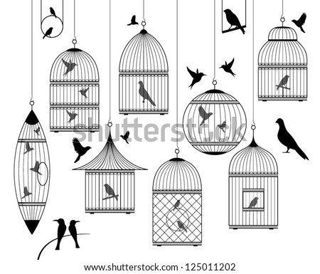 birds and birdcages collection Royalty-Free Stock Photo #125011202