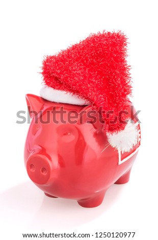 santa pig with christmas hat,piggy bank Isolated on white background