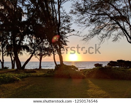 Early Morning Sunrise on Waimanalo Beach on Oahu, Hawaii bursting through the trees.