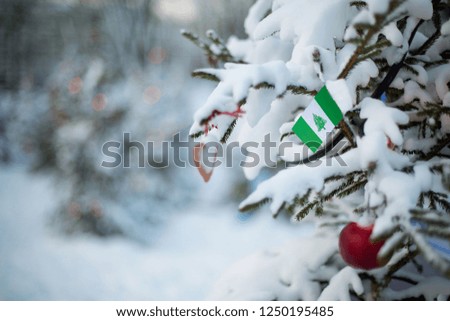Norfolk Island flag. Christmas background outdoor. Xmas tree covered with snow and decorations and a national flag. Christmas and New Year holiday greeting card.