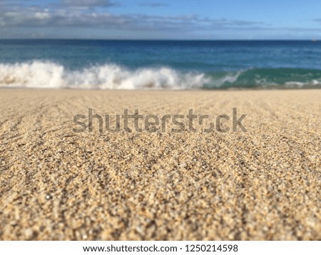 Ocean Beach Shoreline