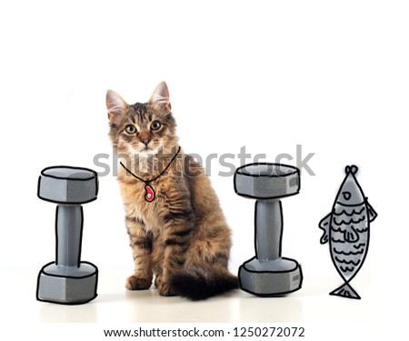 Small kitten with two dumbells on white background illustration and painted fish