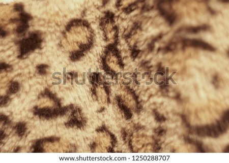  texture of print fabric striped leopard for backgroun                              
