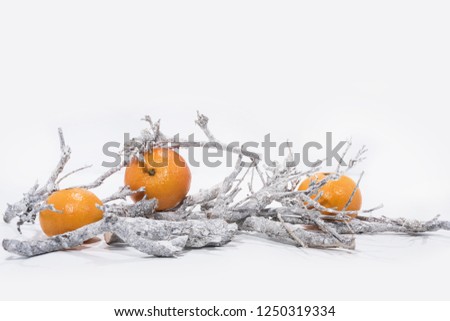 Christmas decoration on white background. Table paper Calendar of  Year 2019.
