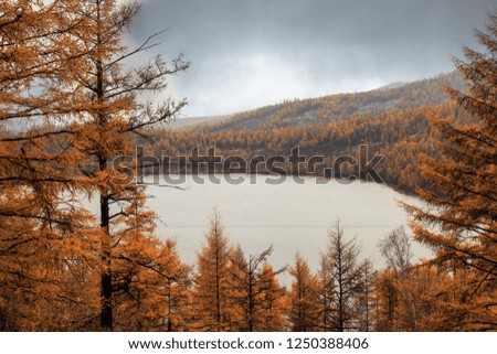 Autumn scenery of tianchi lake in alshan