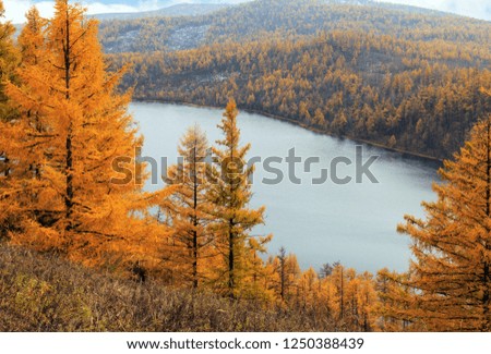 Autumn scenery of tianchi lake in alshan