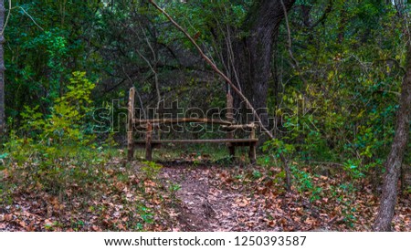 Wooden bench set on top of small hill above slow running stream in a forest