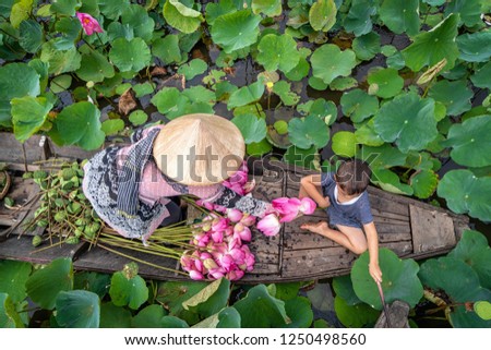 Top view of vietnamese boy playing with mom over the traditional wooden boat when padding for keep the pink lotus in the big lake at thap muoi, dong thap province, vietnam, culture and life concept Royalty-Free Stock Photo #1250498560