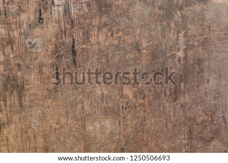 Beautiful wooden wall