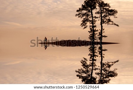 A fairy-tale symmetrical image composed of silhouette pine trees and bike.