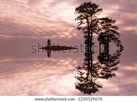 A fairy-tale symmetrical image composed of silhouette pine trees and bike.