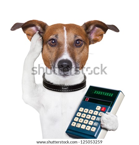 dog accountant thinking and calculating with calculator