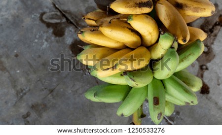 Ripe and Raw of Banana fruit put on cement floor.