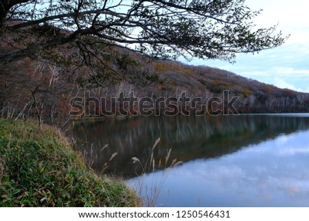 The view of the autumn lake shore reflecting the forest trees and the sky on the water surface