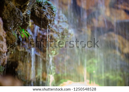 The blurred background of streams flowing from high places (waterfalls, simulated waterfalls, rainwater) is a natural beauty