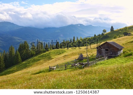 Mountain summer landscape with wooded green hills. Beautiful sunny scenery in clear weather.