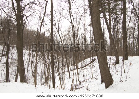 City Moscow winter nature park