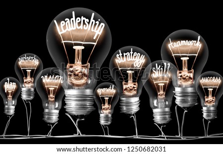 Photo of light bulbs group with shining fibers in a shape of LEADERSHIP concept related words isolated on black background Royalty-Free Stock Photo #1250682031