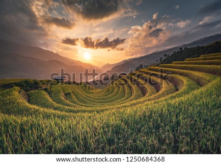 sunset rice terrace Mountains in Mu can chai, Vietnam