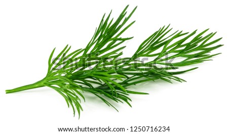 fresh green dill isolated on white background. macro. Royalty-Free Stock Photo #1250716234