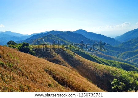  Blue Hills in sunshine day Royalty-Free Stock Photo #1250735731