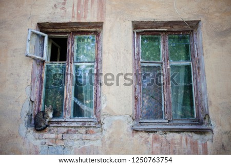 Tabby cat sits at the window of an old house. Old emergency housing Royalty-Free Stock Photo #1250763754