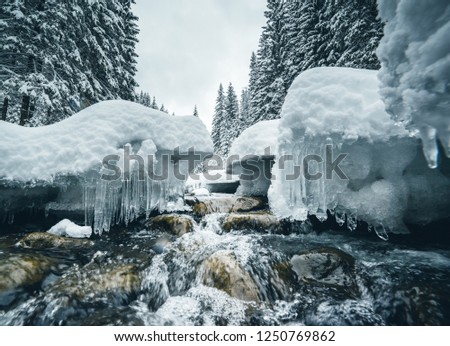 Frozen stones on the river on a frosty day. Location Carpathian mountain, Ukraine, Europe. Alpine ski resort. Exotic wintry scene. Great winter wallpaper. Happy New Year! Discover the beauty of world.