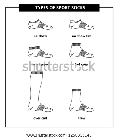 Types of sport socks set. No-show, mini crew, over calf, 1/4 crew, crew. Socks with titles, vector illustration.