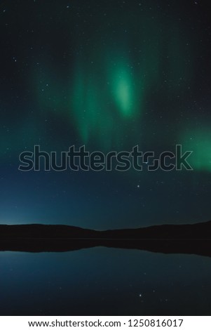 Northern Lights and starry night sky above forest lake. Murmansk region, Russia
