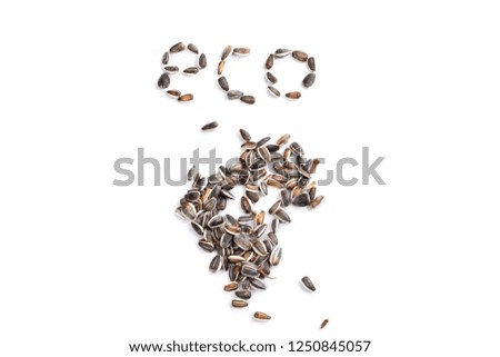 word eco in sunflower seed on white background in studio
