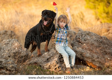 best friends boy and big dog breed Rottweiler for a walk sitting together Royalty-Free Stock Photo #1250884453