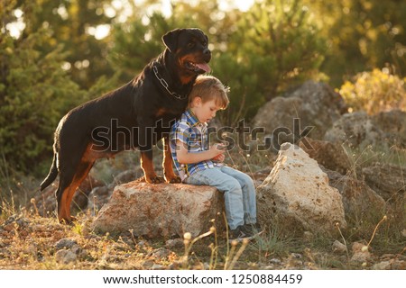 cute little baby and big dog breed Rottweiler for a walk play Royalty-Free Stock Photo #1250884459