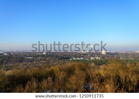 Aerial top panoramic scenery landscape  of Grunewald forest in Berlin, Germany during winter season.