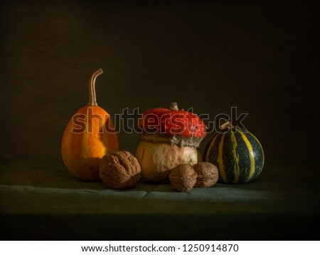 still life with pumpkins and nuts. vintage retro. food.