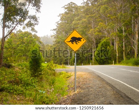 A road and a road sign showing the tasmanian devil