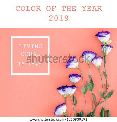 Background color of the year 2019 Living Coral.