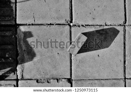 
The square wood on the old floor alone with its own shadow during the sunset in summer in black and white colors.