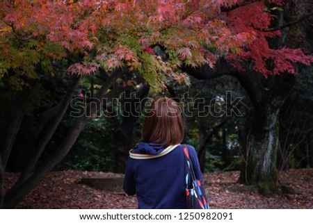 A back/ rear side of Asian short red hair girl is looking and take a photo of Maple trees in public park. Maple leaves are changing color from green to red in Autumn/Falls. Woman wears hoodie sweater