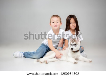 Portrait of a joyful little girl and boy having fun with siberian husky puppy on the floor at studio. The animal, friendship, love, pet, childhood, happiness, dog, lifestyle concept