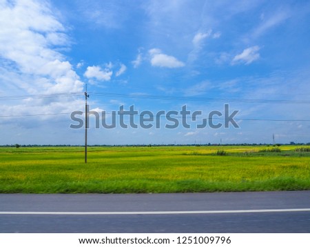 Empty asphalt road between the lighting pole in green and yellow field under the blue sky take picture on the car while driving.