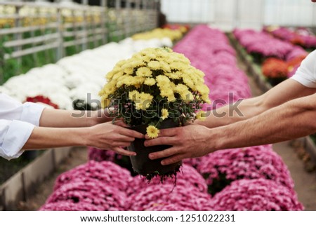 Focused photo of vase with flowers holding by two hands with other plants in background.